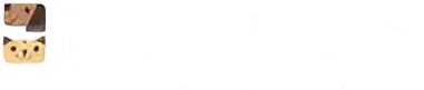 techsleightlabs Bonbeno